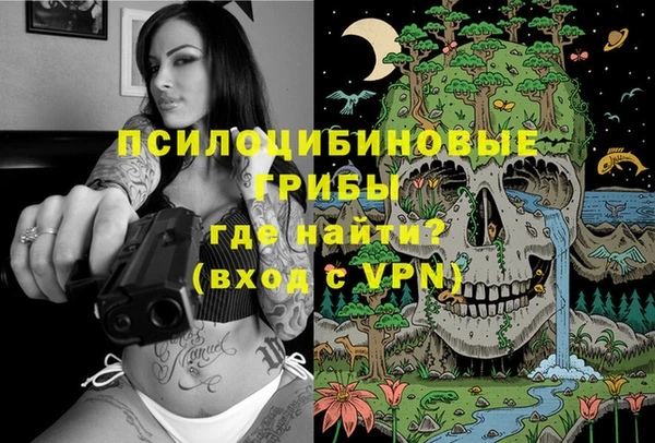 кокс Алексин