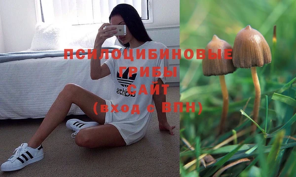кокс Алексин
