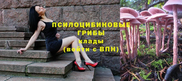 кокс Алексин
